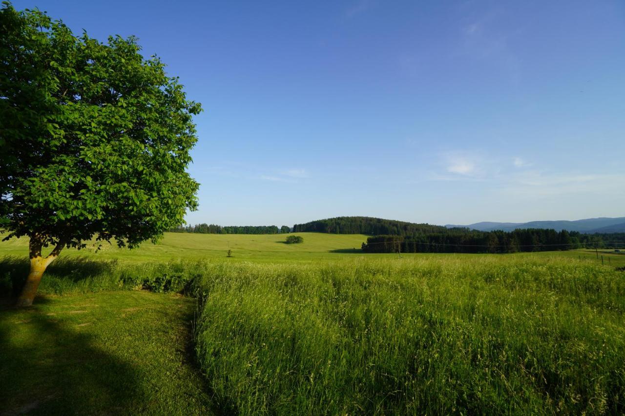 Venkovská chalupa Malšín Exteriér fotografie